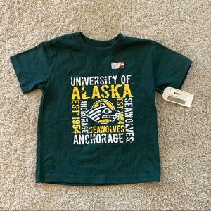 Anchorage Alaska NWT Toddler 4T Green Tee Shirt